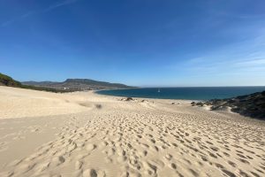 Vistas de la playa de Bolonia desde la duna